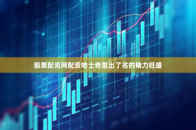 股票配资网配资哈士奇是出了名的精力旺盛