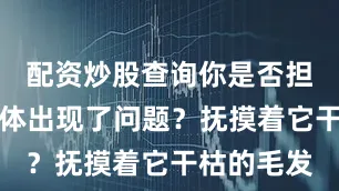 配资炒股查询你是否担心它的身体出现了问题？抚摸着它干枯的毛发