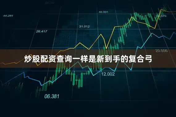 炒股配资查询一样是新到手的复合弓